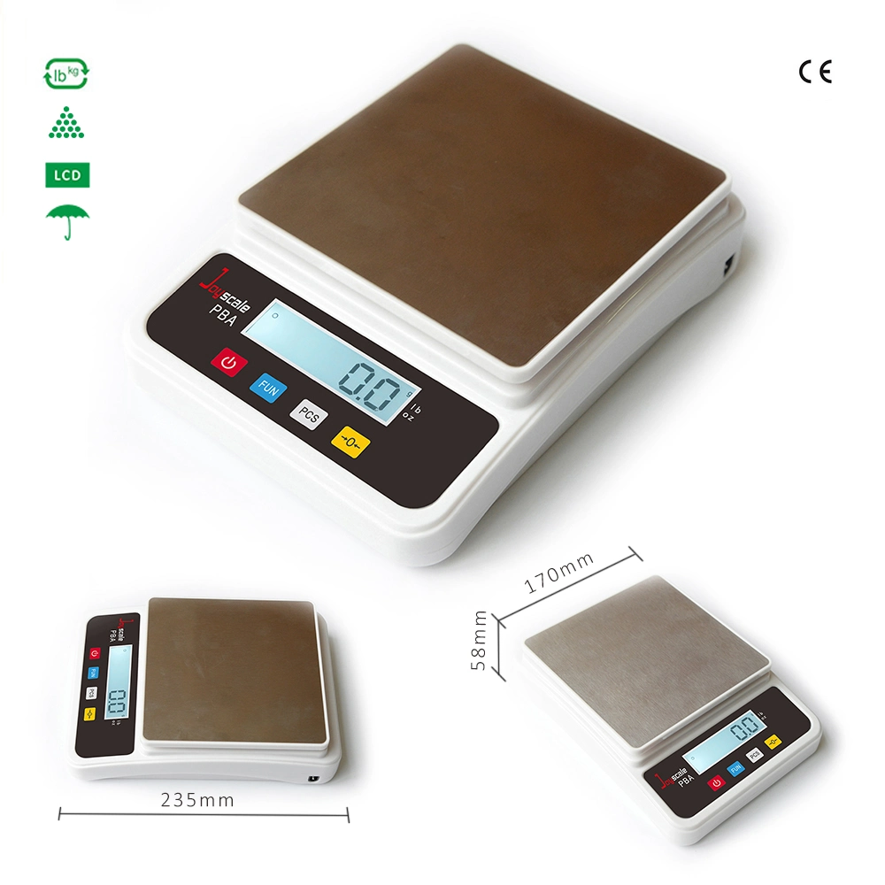0.1g Small Laboratory Digital Weighing Scale