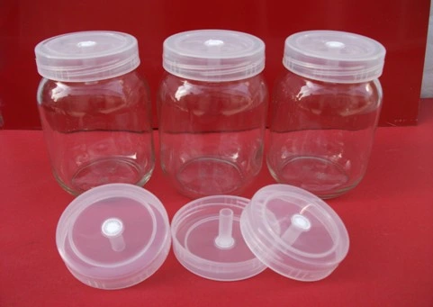 Tissue Culture Glass Jars