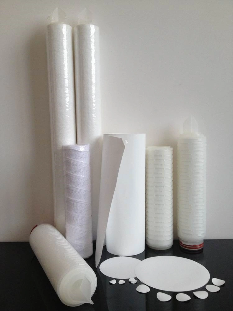 10 Inch Pes Water Filter Cartridge for Sterile Filtration of Buffers and Tissue Culture Solutions