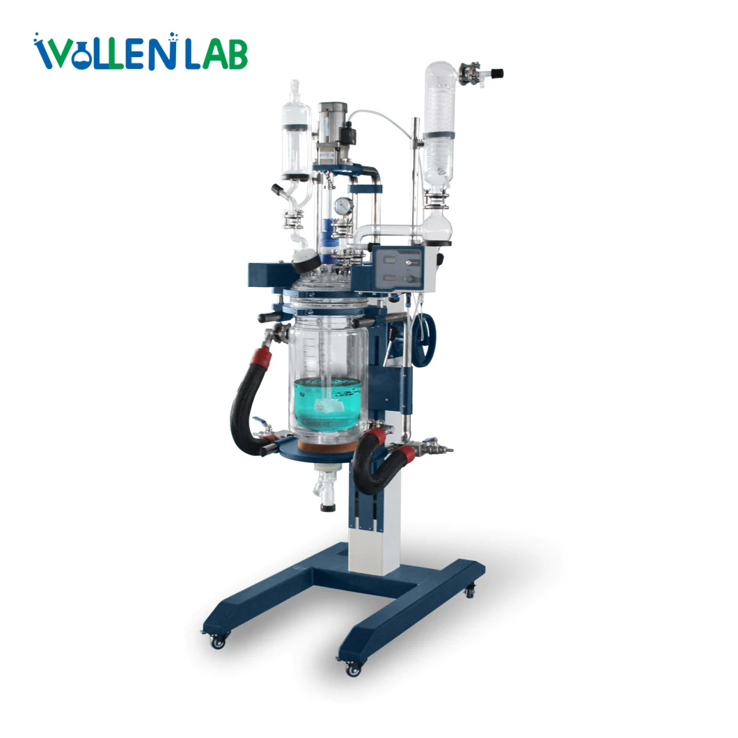 China Manufacture Lab Chemistry Equipment Continuous Stirred Lifted Glass Reactor