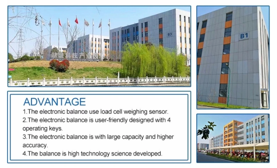 0.0001g~10g High Sensitive Weighing Industry Platform Chemical Laboratory Balance