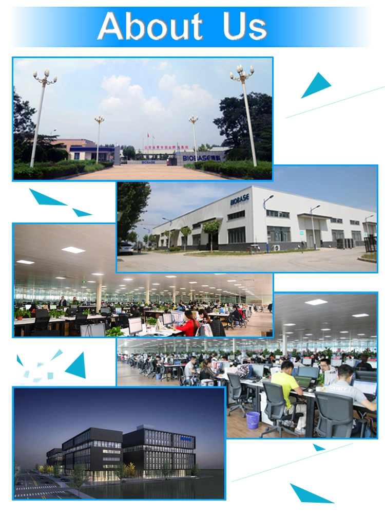 Biobase Laboratory Drying Oven, Bov-30V Vacuum Dry Oven Price