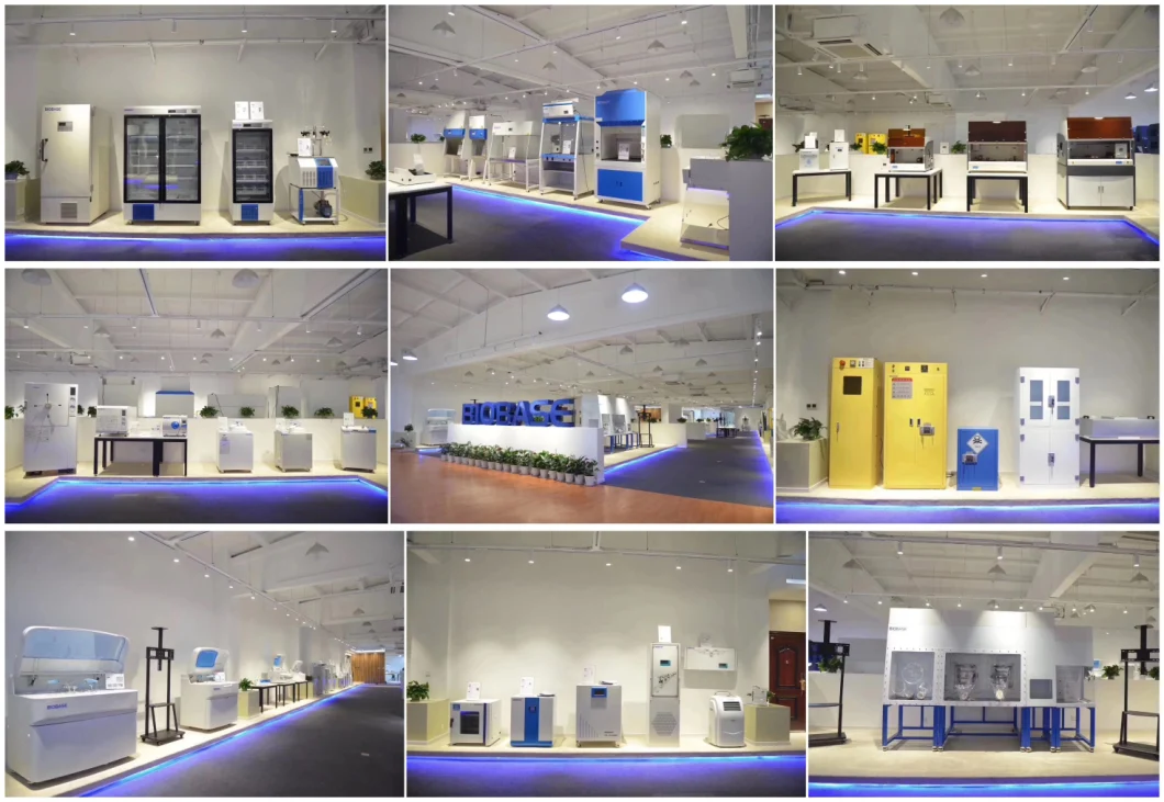 Biobase Laboratory Drying Machine Constant-Temperature Drying Oven