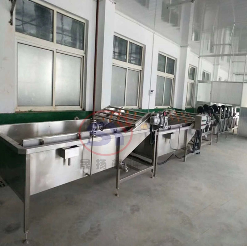 Fruit/Vegetable Washing Cleaning and Drying Machine Dates Palm Washer Equipment
