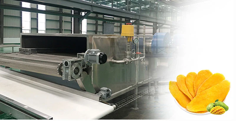 High Quality Vegetable and Fruit Washing and Drying Food Machine