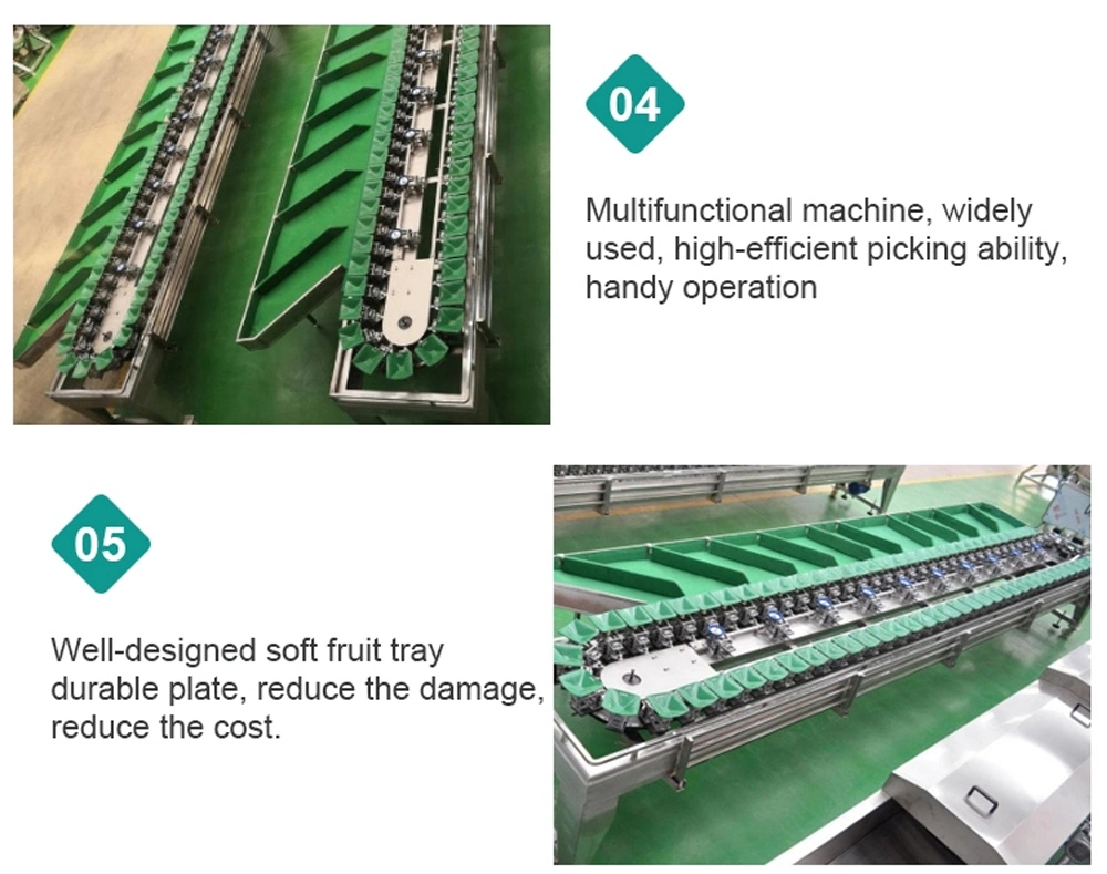 Automatic Fruit Washer Drying Waxing Sorting Line Chili Vegetable Washing Machine