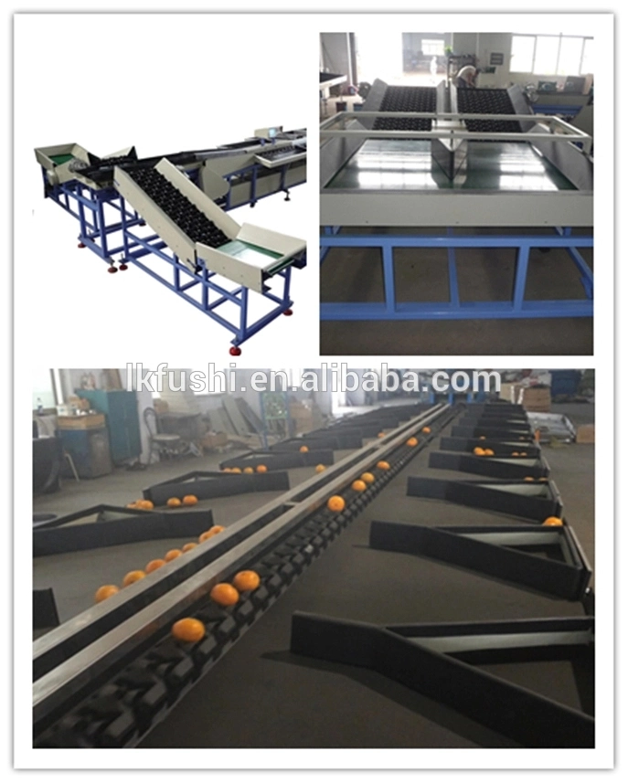 Fruit Washing Waxing Drying Grading Line Fruit Farm Equipments Commercial Apple Washing Polishing Grading Machines