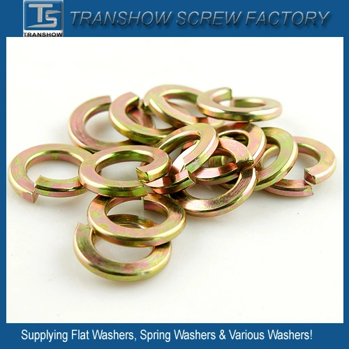 Flat Washer Spring Washer Tooth Washer All Washers