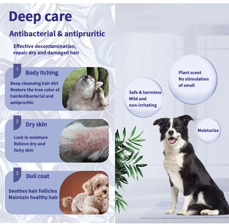 Wholesale 650ml Deodorant Natural Non-Irritation Pet Shampoo for Pet Grooming