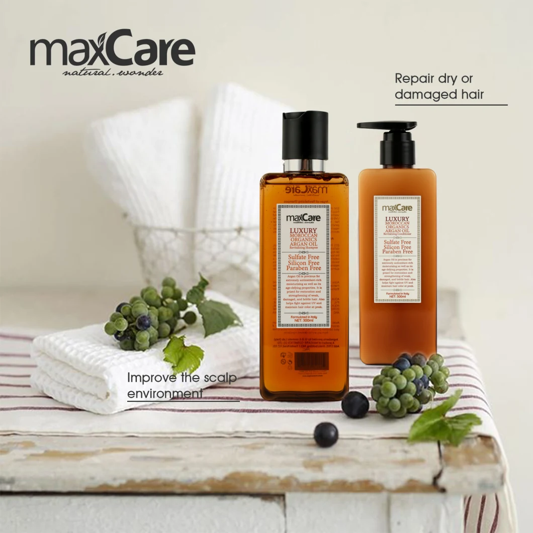 Natural Organic Argan Oil Refreshing Fragance Shampoo