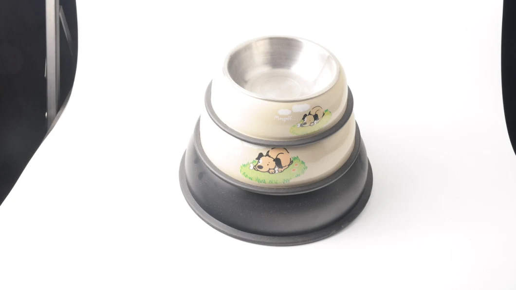 Cat Eating Best Elevated Cat Bowls for Pets Cat Dog