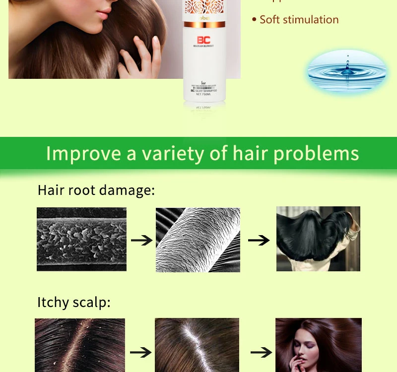 OEM/ODM Natural Anti-Hair Loss Anti-Dandruff Ginger Shampoo Wholesale 500ml