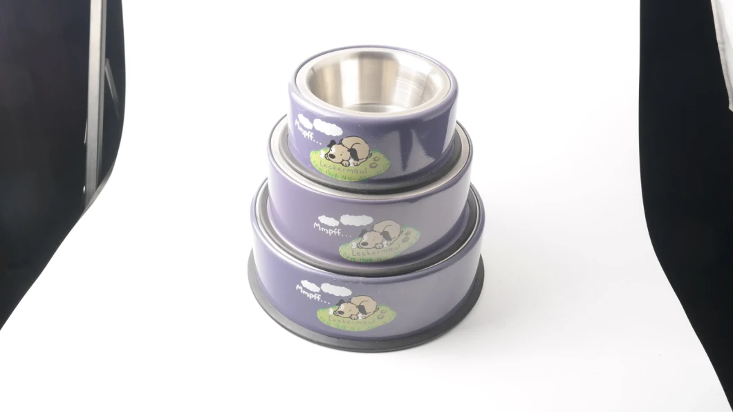 Cat Eating Best Elevated Cat Bowls for Pets Cat Dog