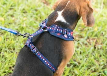 Adjustable Dog Harness, Customized Dog Harness, Harness for Dog, Vest for Dog