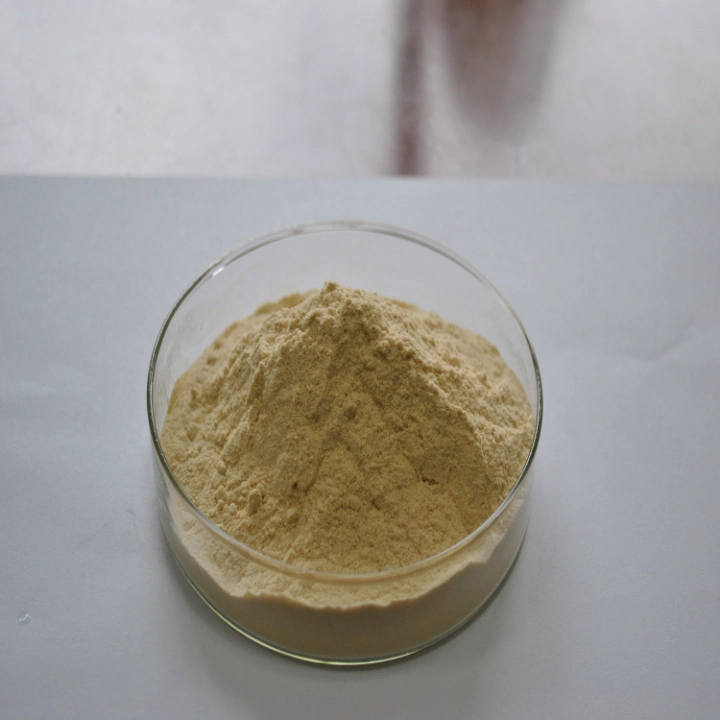 Natural Cleaning Ingredient of Sapindus Mukorossi Extract for Natural Laundry Detergent