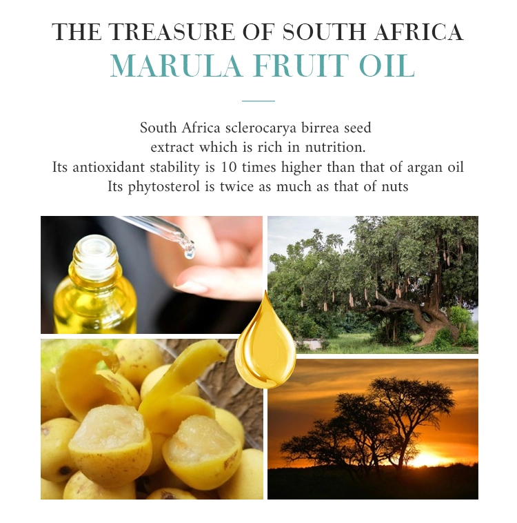 Wholesale Private Label Natural Organic Marula Oil Moisturizing Hair Conditioning Shampoo Nourishing Shampoo and Conditioner