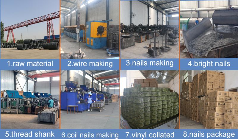 Top Grade Blue Collated Wire Collated Coil Nails Manufactures in China