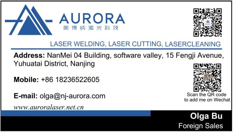 Aurora Laser Dia15 H15 Double Laser Nozzle for Dne Laser Cutting Head for Fiber Laser Cutting Machine