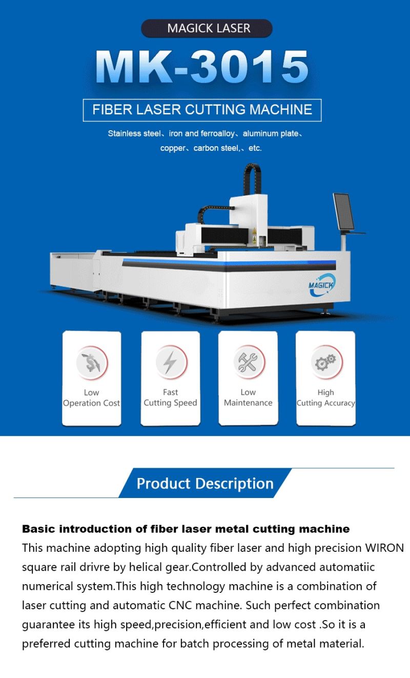 1000W 2000W Ipg Metal Laser Cutting Machines Fiber Laser Cutter Machinery Price