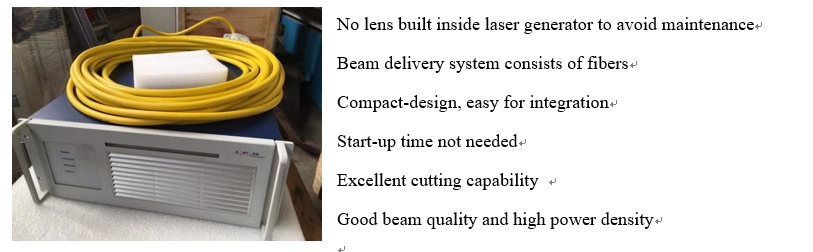 Ta Brand China Homemade Gold Laser Cutting Machine/Carbon Fiber Laser Cutting Machine/Fiber Laser Engraver