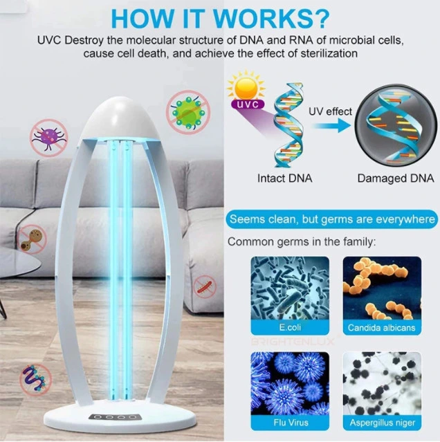 LED UV Lamp 60W UVC for Professional Germicide Stock Sterilizer Table Light Ultraviolet Bulb Remote Base