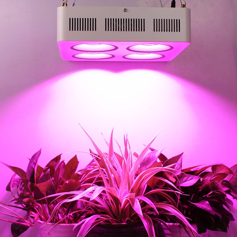 800W Grow Light Full Spectrum COB LED Grow Lights Reflector Grow LED Lighting