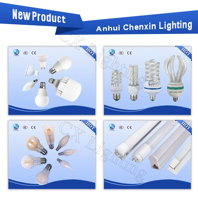 8W Clear LED Light Bulb LED Filament Dimmble Lamp 170-240V E27 B22