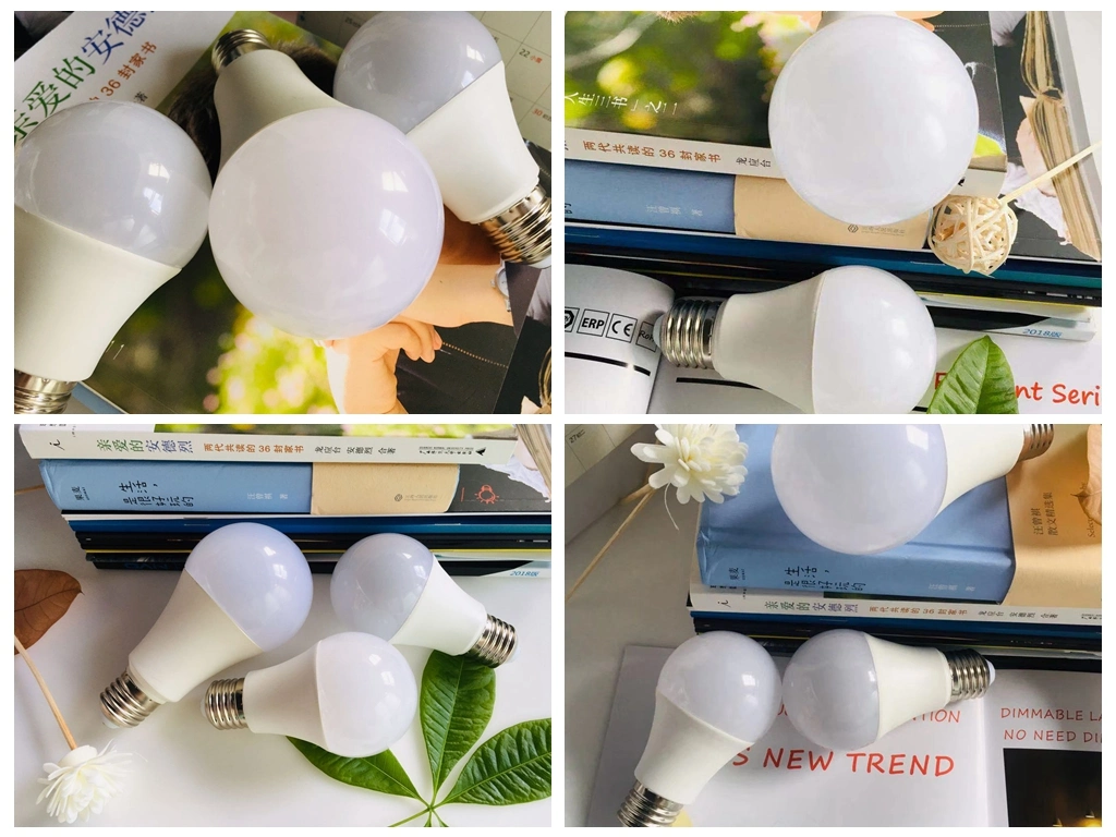 LED Bulb A55 6W 2835SMD LED Light Bulb Lamp for Home Indoor Lighting