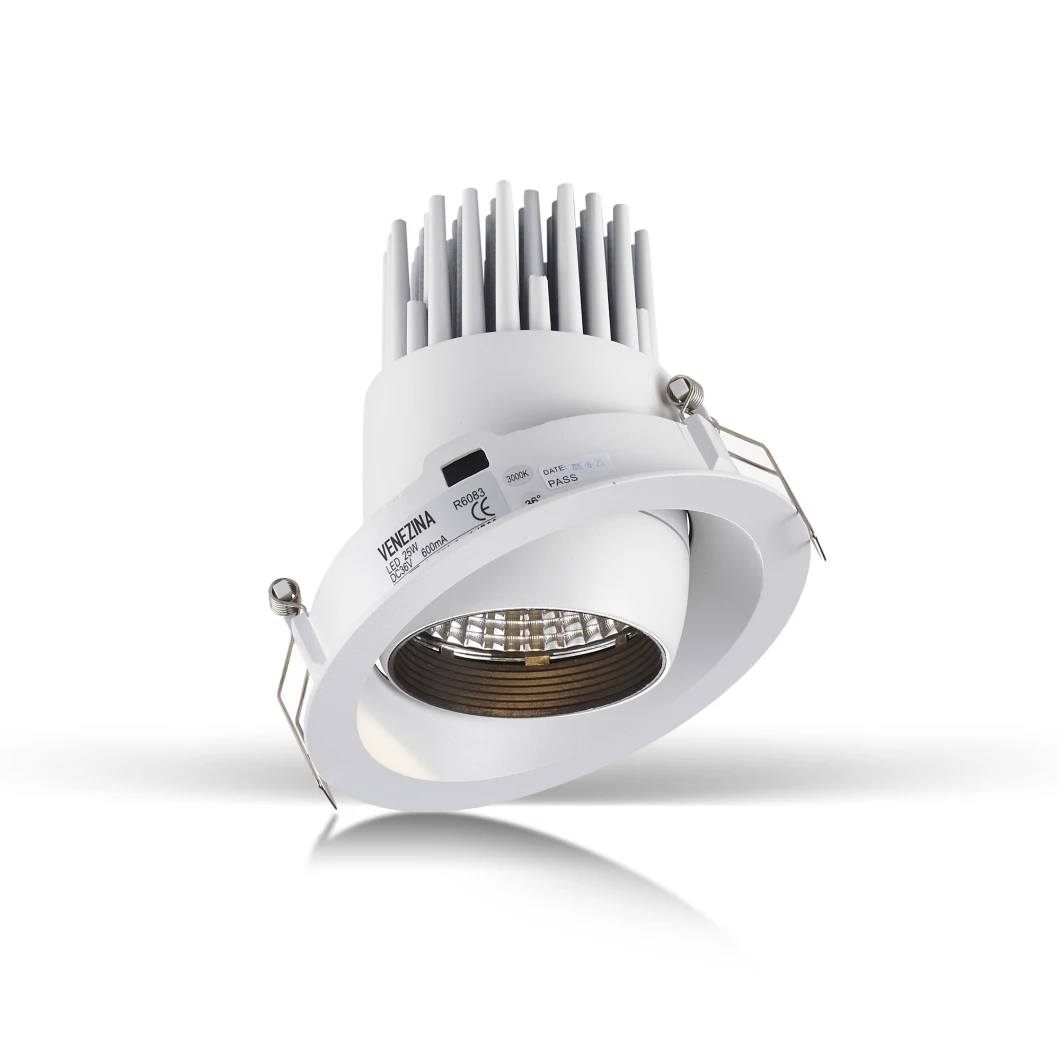 Cut-out 137mm High Watt LED Light Bulbs Dimmable Anti Dazzle COB LED Down Light