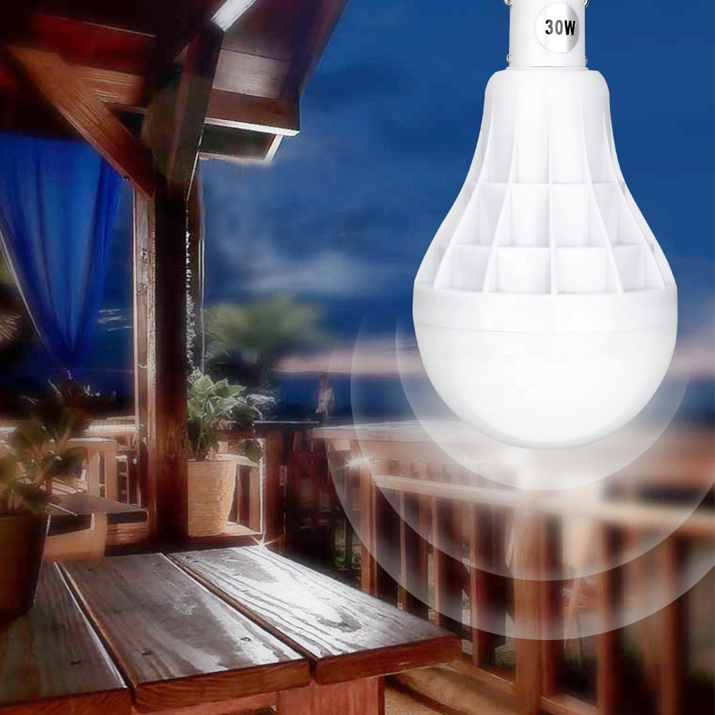 2020 New 30W Portable Handheld LED Bulbs Light Rechargeable Camping Tent Outdoor Light Bulbs Outdoor Emergency Bulb