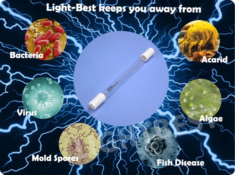 Waste Gas Filtration Lamp UVC 185nm Ozone Germicidal Light Pl9w Aquarium UV Bulb