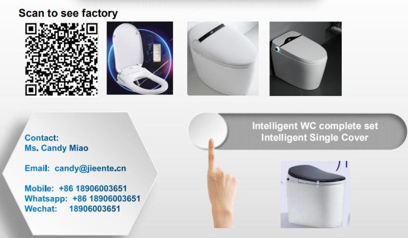 Auto Heated and Washing Smart Toilet Intelligent