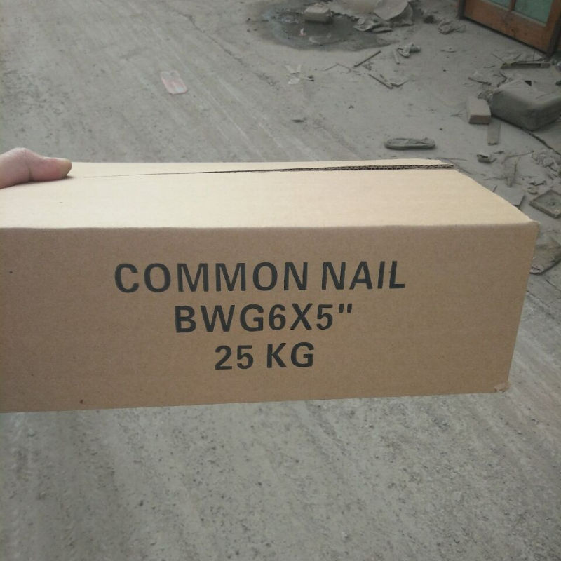 Common Nails Common Round Iron Nail