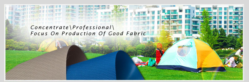 Low Cost 500d*300d PVC Coated Fabric for Outdoor Products