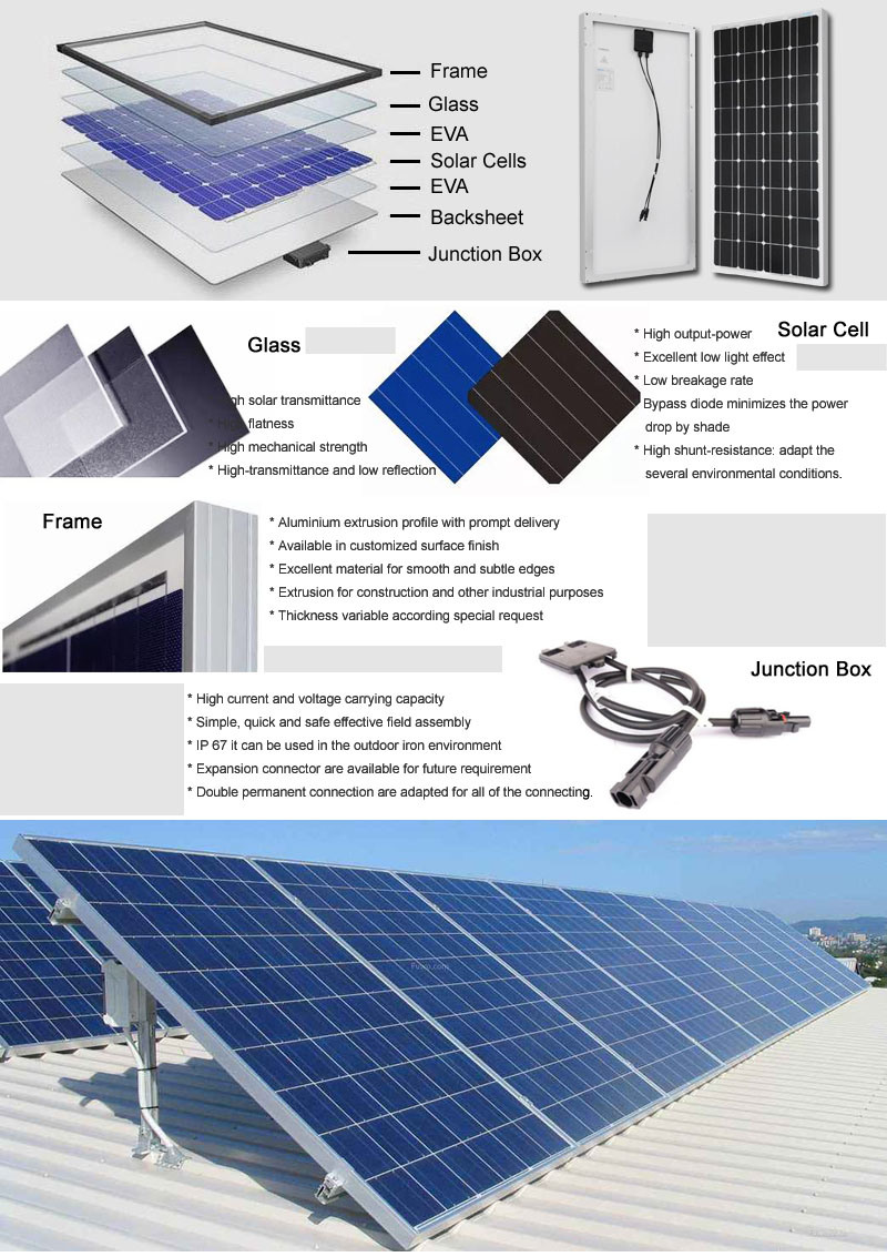 Dsola ODM/OEM Design Flat Panel Solar Panel 300W Monocrystalline
