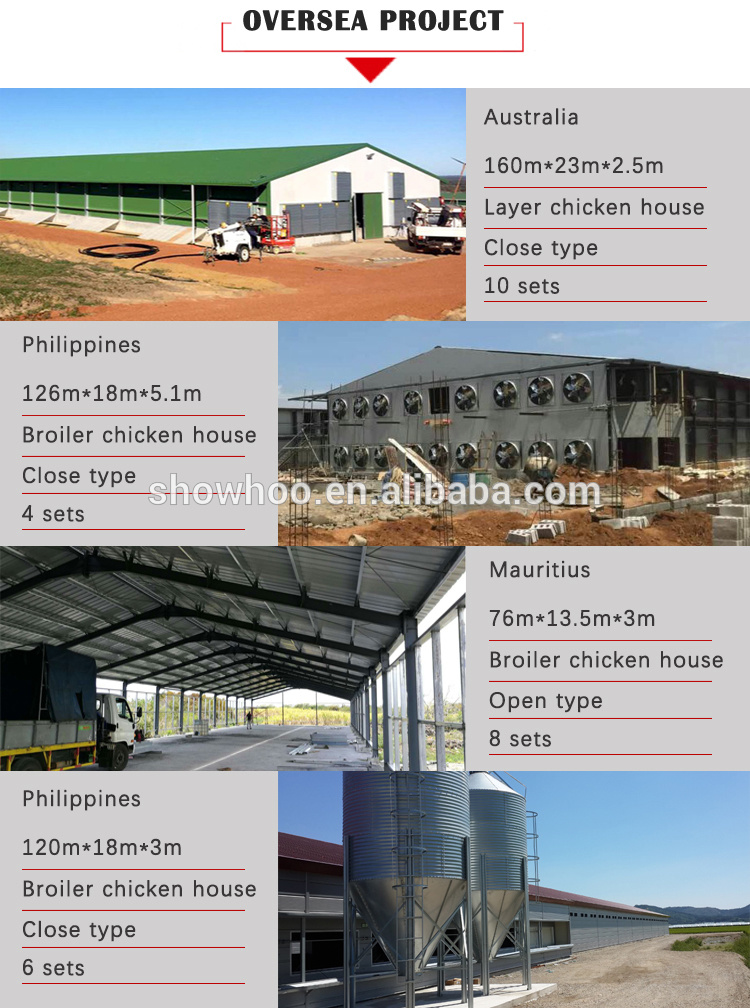 Low Cost Steel Frame Poultry Farm House Design Shed for Layers Chicken
