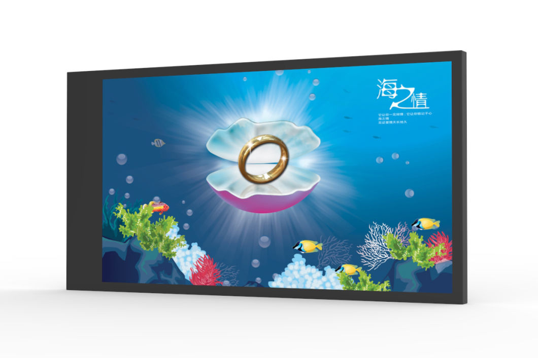 High Quality Wall Mounted Sunlight Readable Customizable Size Ad Digital Poster Display