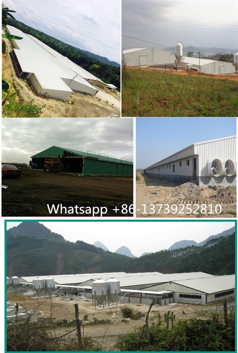 Professional Design Piggery Farm/Low Cost Pig Shed/ Steel Structure Piggery Shed