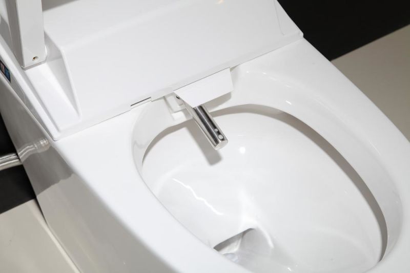 Floor-Mounted One-Piece Smart Toilet Bidet Intelligent / Smart Toilet