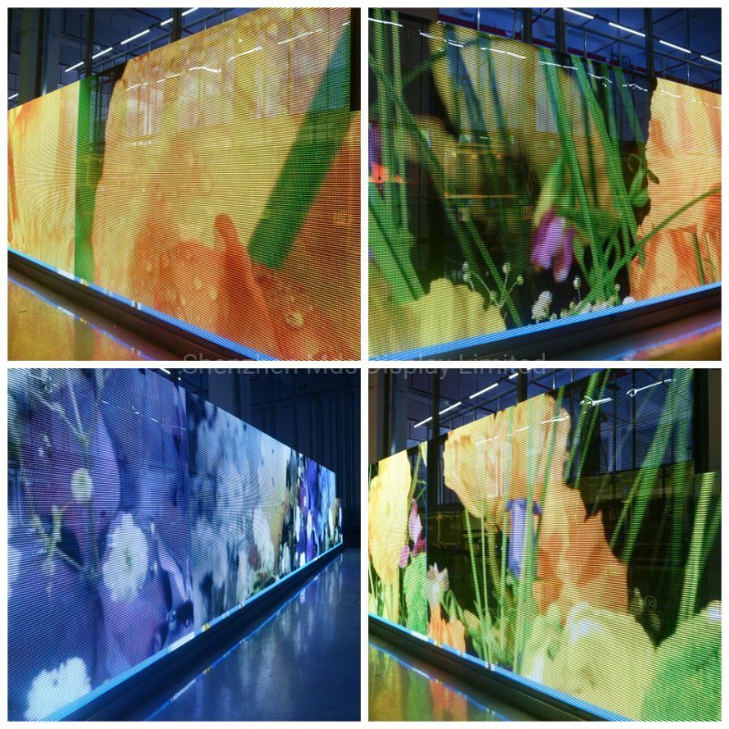 Showcase Display Indoor Full Color LED Curtain Transparent LED Screen