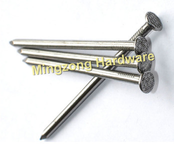 Polished Common Wire Nail/Common Nail in Construction