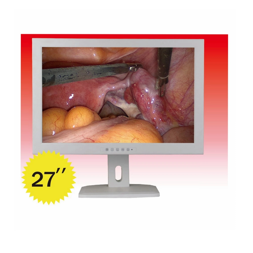 21 Inch Medical Monitor for Endoscope Camera System Surgical Display Monitor Endoscopy Medical Monitor