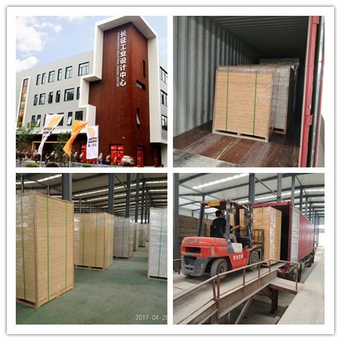 Export to European Marketing MDF 3D Wall Panels