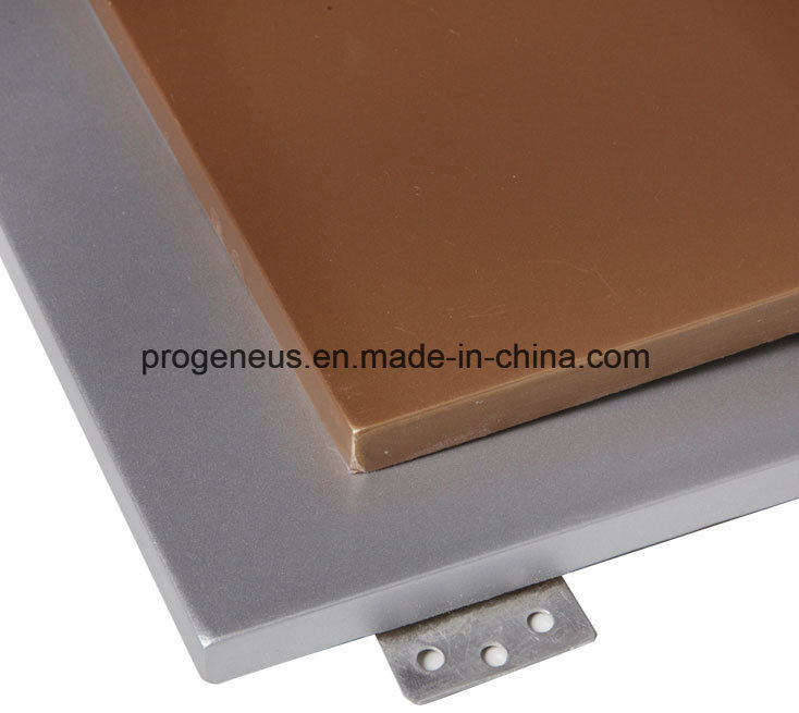 Exterior Lightweight Composite Outdoor Wall Cladding Panel for RV
