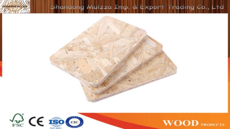 Oriented Strand Boards OSB 3 Plywood Board for Building and Furniture