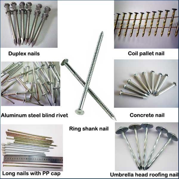 Common Round Wire Iron Nail, Polished Common Nail