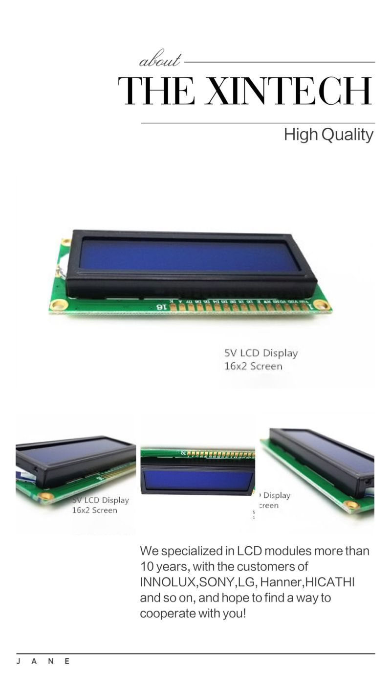 Blue Backlight Character LCD Module LCD1602 Module Tn/Stn Module