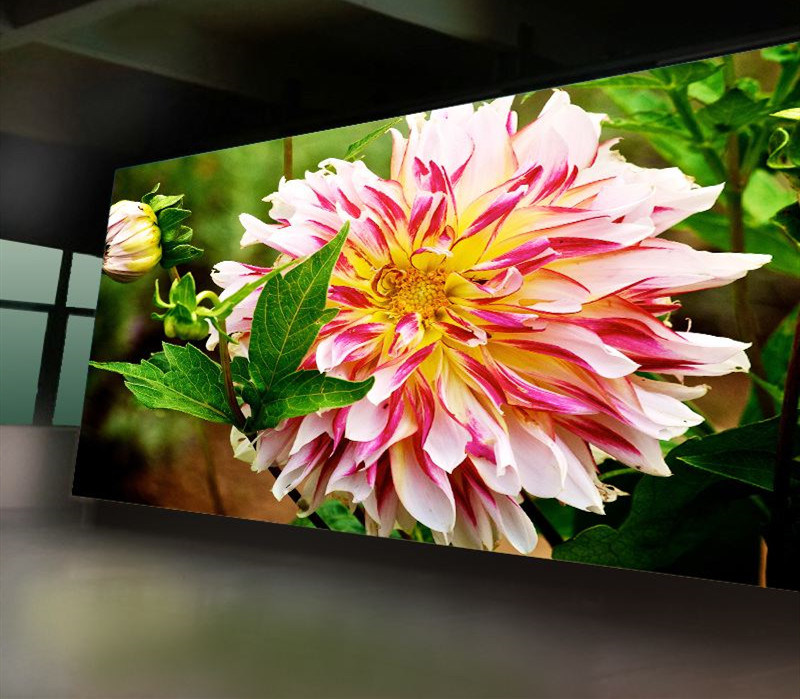 Portable Indoor Full Color LED Display / Rental LED Video Screen (500*500mm / 500*1000mm)