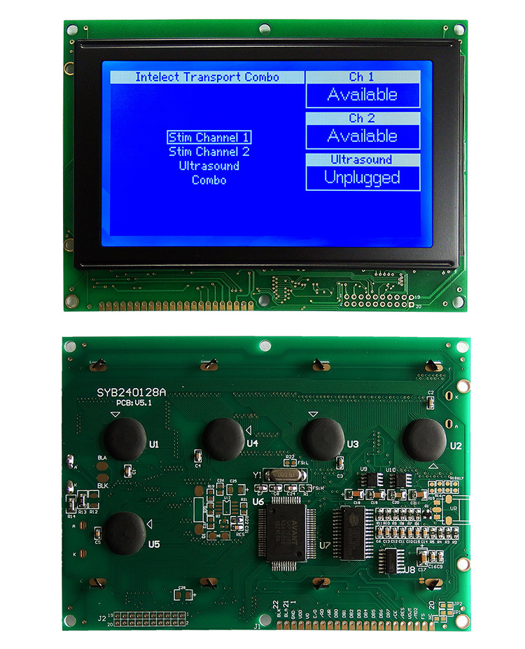Shenzhen Small Monochrome 240128 Custom Screen Panel T6963c Graphics Display Module 240X128 LCD