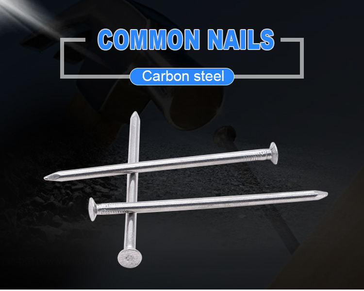 Building Common Wire Nail Construction Common Nail Iron Nails Factory